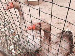 -意大利农场度假村