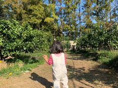 -前小桔亲子创意农场·草莓采摘·露营烧烤