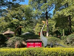 -森波拉火山温泉
