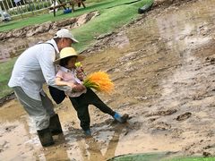 -中国农业博物馆