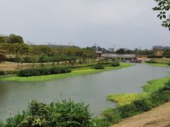 -那考河湿地公园