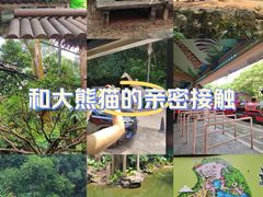 -广州长隆野生动物世界