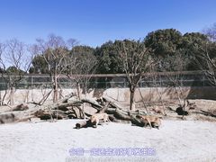 -常州淹城野生动物世界