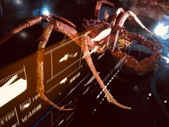-同济大学四平路校区深海探索馆