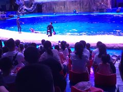 -华夏文旅海洋公园