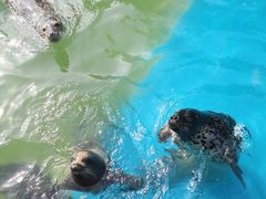 -华夏文旅海洋公园