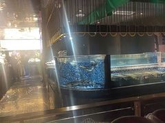 -喜庭海鲜自助(北辰三角洲北辰荟店)
