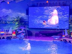 -海合安武汉极地海洋公园