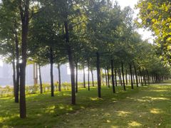 -洛阳市隋唐城遗址植物园