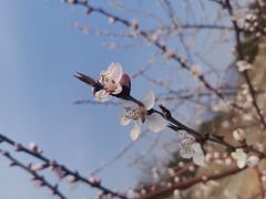 -白水寺森林公园