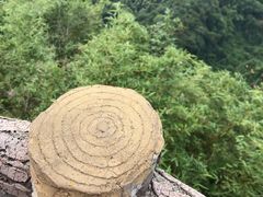 景点-丹霞山风景名胜区