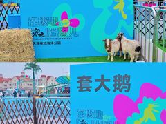 -海合安天津极地海洋公园