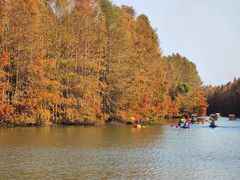 -上海海湾国家森林公园