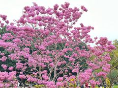 -广州文化公园