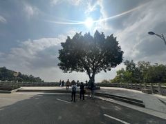 -火炉山森林公园