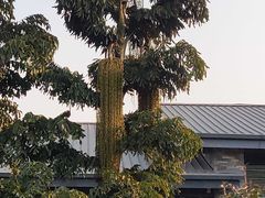 -府河摄影公园