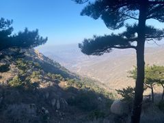 -鲁山国家森林公园