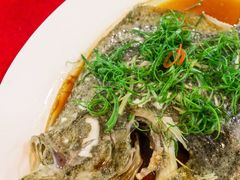清蒸多宝鱼-隆都四季香饭店(碧海路店)