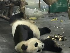 -无锡动物园·太湖欢乐园