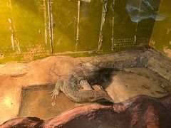 -上海大自然野生昆虫馆
