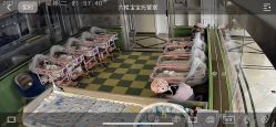 点击看大图 -国际月月生母婴月子中心(旗舰店)