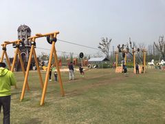 -上海长兴岛郊野公园