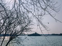 -贡湖湾湿地公园