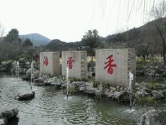 -香雪海
