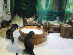 -华夏文旅海洋公园