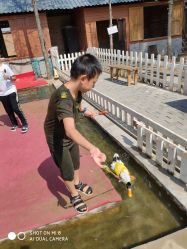 -上美四季动物农场