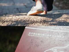 -九曜山