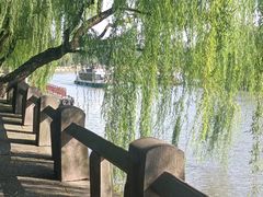 -运河游船(武林门码头)