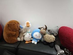 -春田皮肤管理中心品牌旗舰店