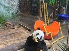 -海南热带野生动植物园