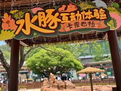 -大连森林动物园