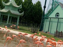 -秦皇岛野生动物园