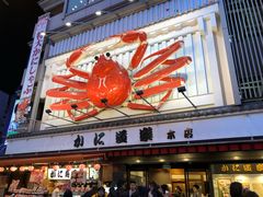-蟹道乐(道顿堀本店)