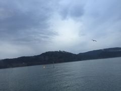 -松岛