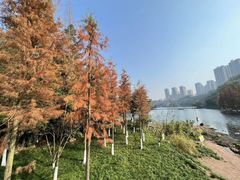 -重庆彩云湖湿地公园