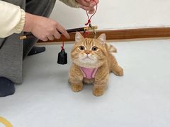 -网易（杭州）网络有限公司