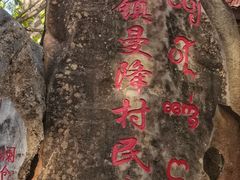 -西双版纳傣族园