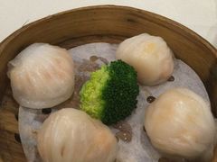 虾饺-新海利(北岭店)