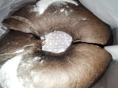 -奈雪的茶(印象城店)