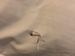 -黄山香茗国际酒店