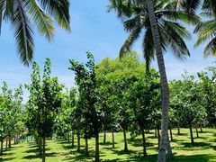 -三亚南山文化旅游区