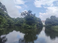 -济州森林小火车生态公园