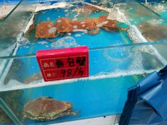 -老船长海鲜加工店(景苑山水店)