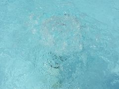 -十万大山布透温泉
