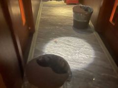 -江南足纪·影院足道·轻奢SPA(笋岗HALO广场店)