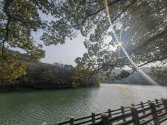 -白马涧龙池景区